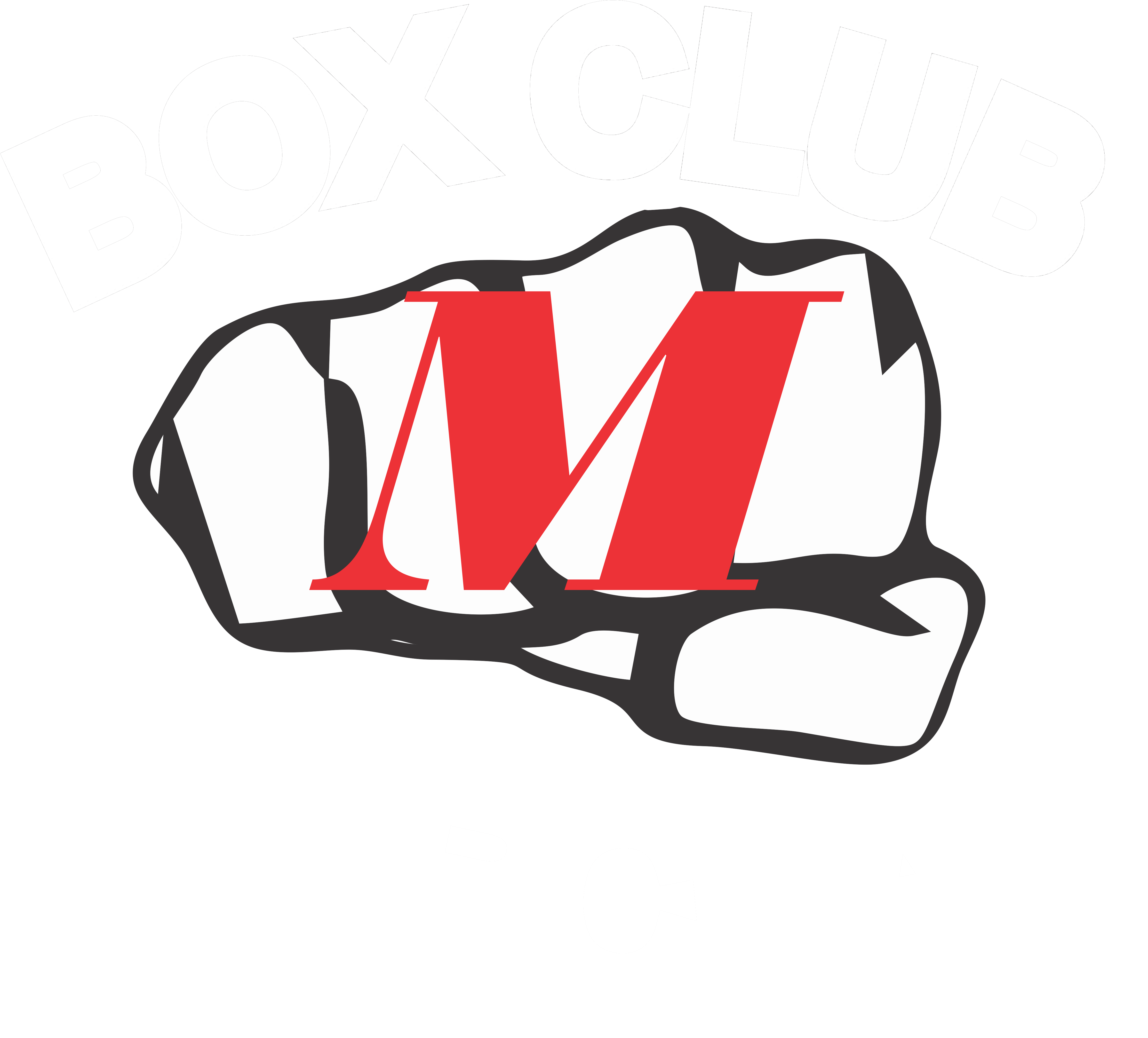 Box Club Mircea: Acasa